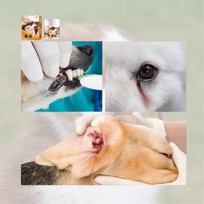 PureSmile Pet Wipes Zahnpflege für Hunde